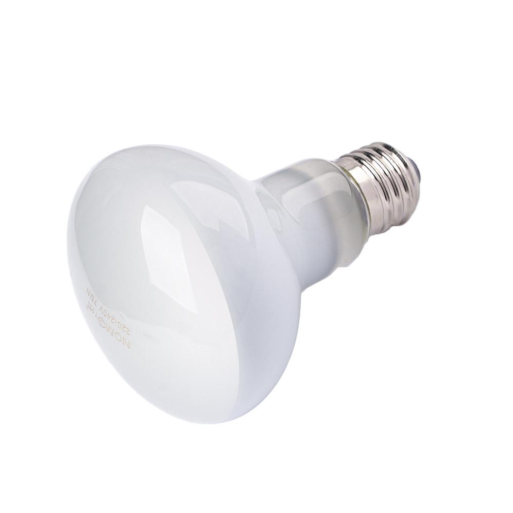 Basking Bulb Halogen - カメ用ヒーター、爬虫類用保温ランプ、UVAライト、ハロゲン電球