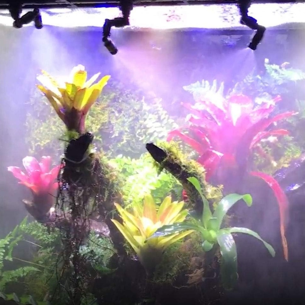 PP レプタイルフォッガー ブラック 360 °   回転式 - Misting Nozzle Reptile のレビューと価格