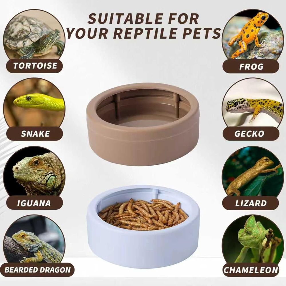 ポータブル脱走防止爬虫類用餌皿 転倒防止コンパクトミールワー - Water Dish Reptile のレビューと価格