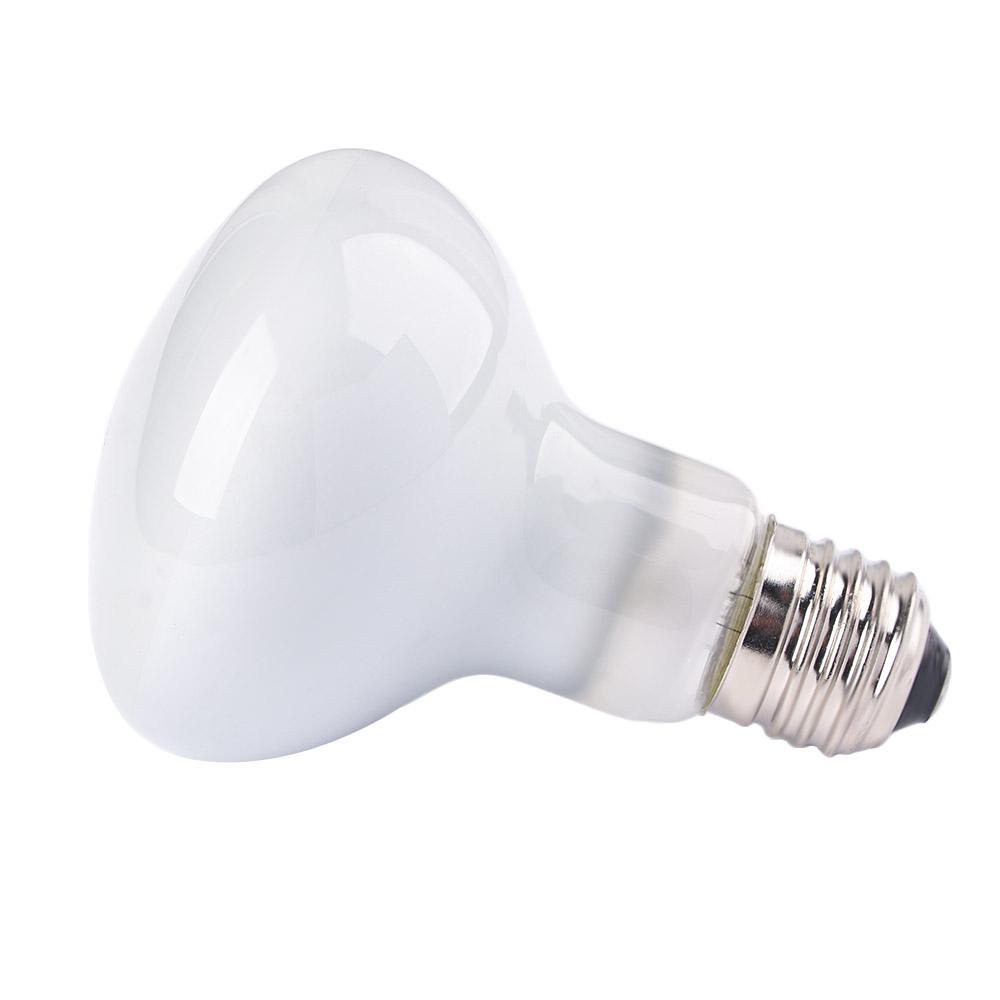 両生類用温度調節器ヒーター、ハロゲン電球、UVAライト、爬虫 - Basking Bulb Halogen のレビューと価格