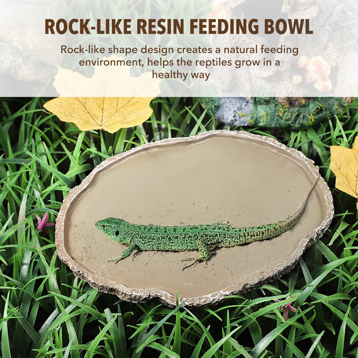 樹脂製爬虫類用給餌皿。丈夫で、カメ、ヤモリ、ヘビなどのペット - Water Dish Reptile のレビューと価格