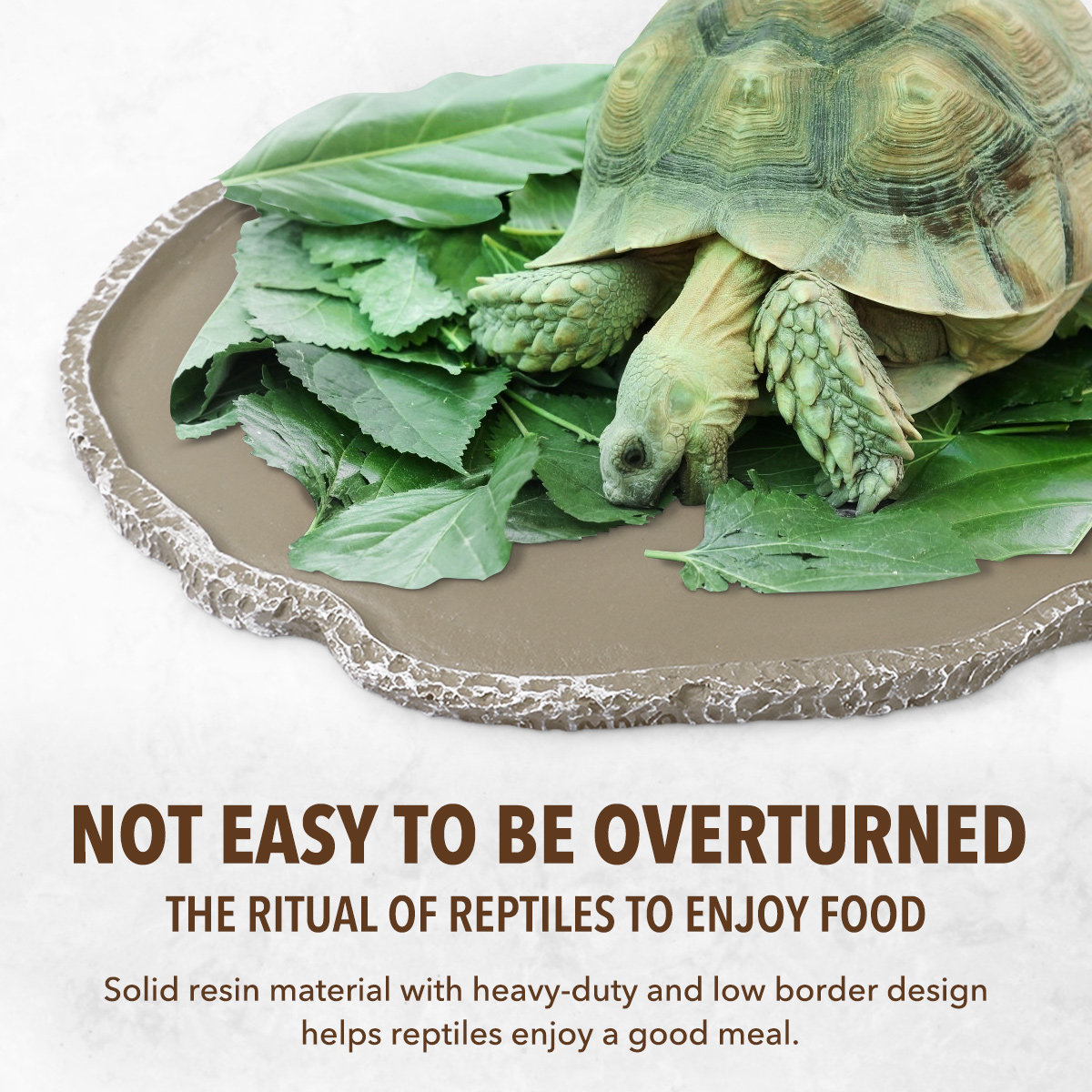 樹脂製爬虫類用給餌皿。丈夫で、カメ、ヤモリ、ヘビなどのペット - Water Dish Reptile のレビューと価格