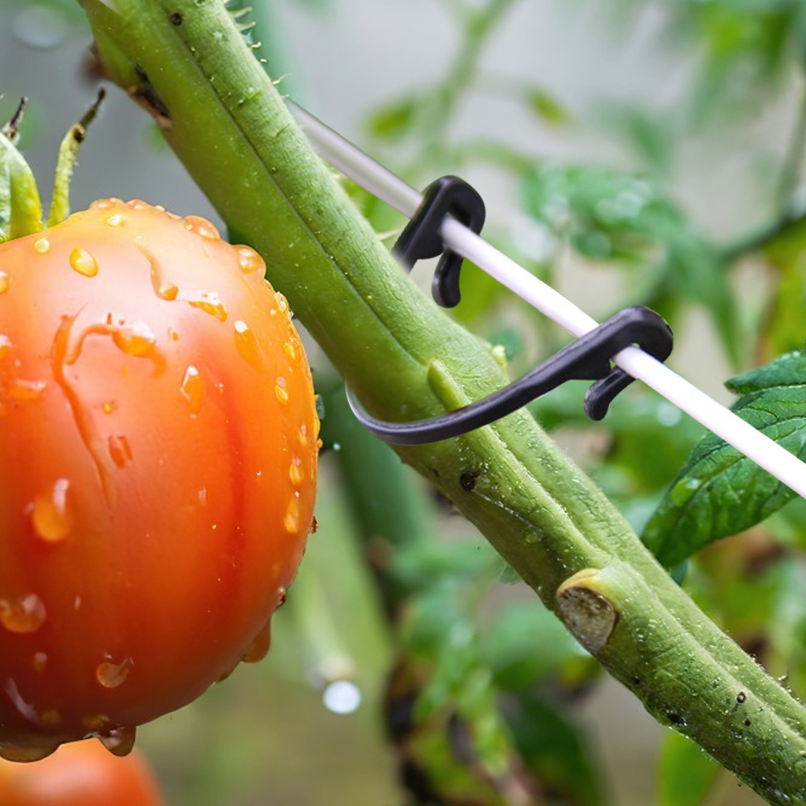 100個入り植物固定クリップ、頑丈なプラスチック製ガーデン植 - Vine Climbing Plastic のレビューと価格