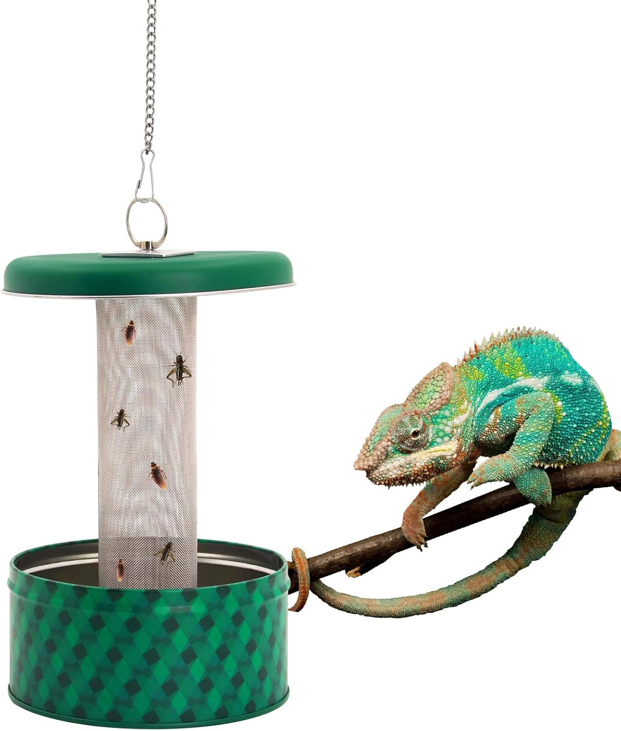 ヒゲトカゲ用餌入れ カメレオン用餌入れ 昆虫用餌入れ 爬虫類 - Water Dish Reptile のレビューと価格