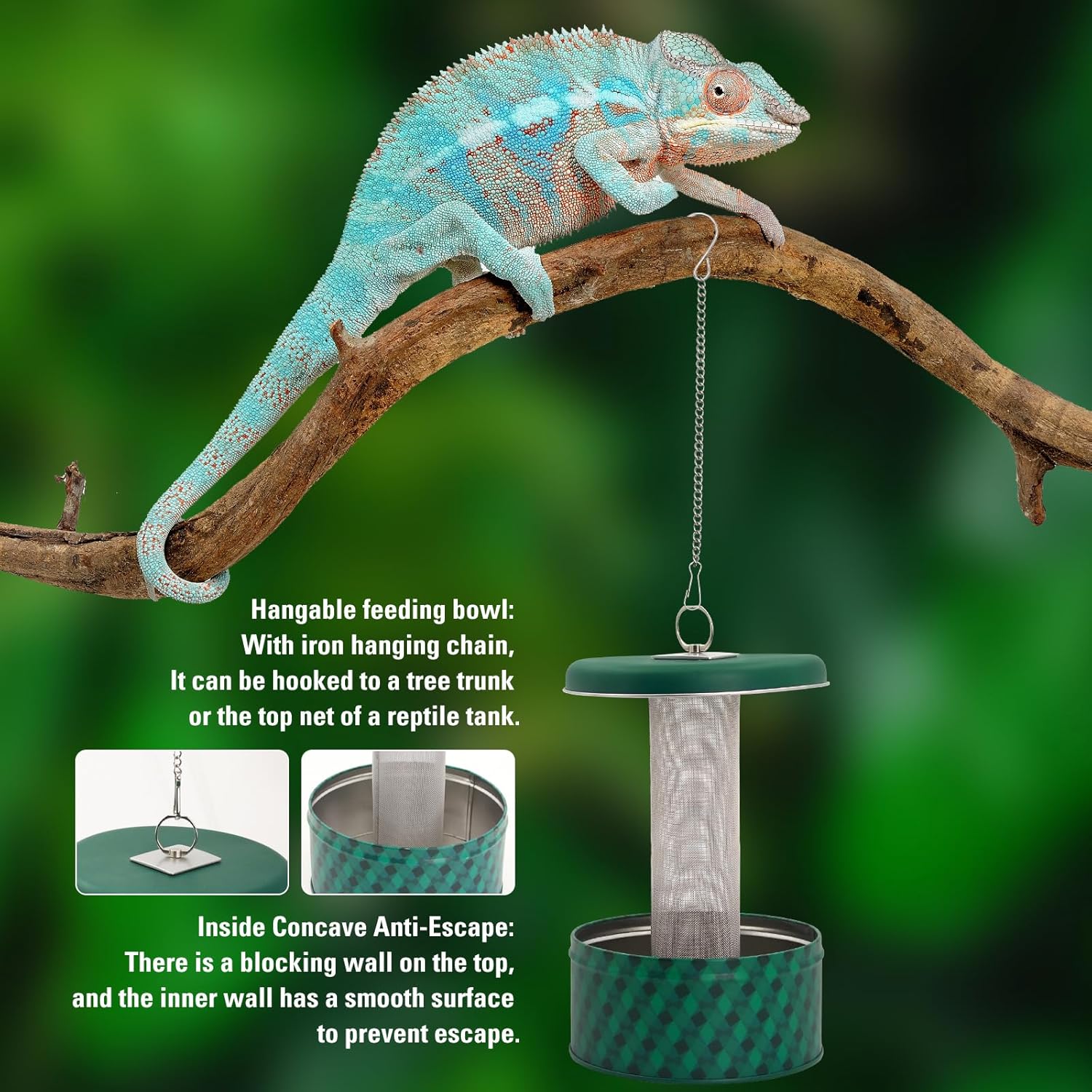 ヒゲトカゲ用餌入れ カメレオン用餌入れ 昆虫用餌入れ 爬虫類 - Water Dish Reptile のレビューと価格