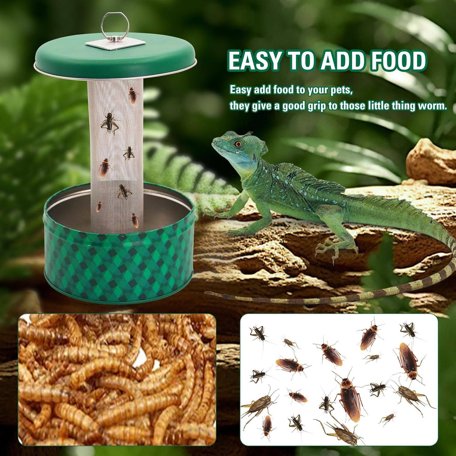 ヒゲトカゲ用餌入れ カメレオン用餌入れ 昆虫用餌入れ 爬虫類 - Water Dish Reptile のレビューと価格